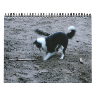 Calendário Collies de beira abundante