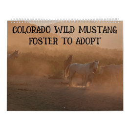 Calendário Colorado Foster to Adopt
