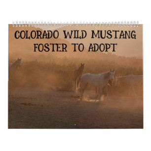 Calendário Colorado Foster to Adopt