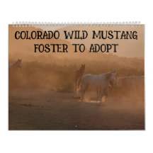 Colorado Foster to Adopt Calendar