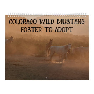Calendário Colorado Foster to Adopt Calendar