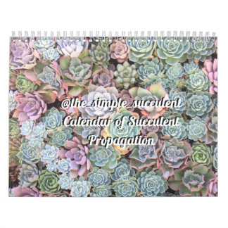 Calendário colorido da propagação do Succulent