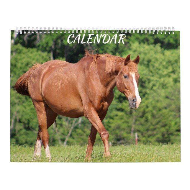 Calendário Colorido de Fazenda Horse Bright (Capa)