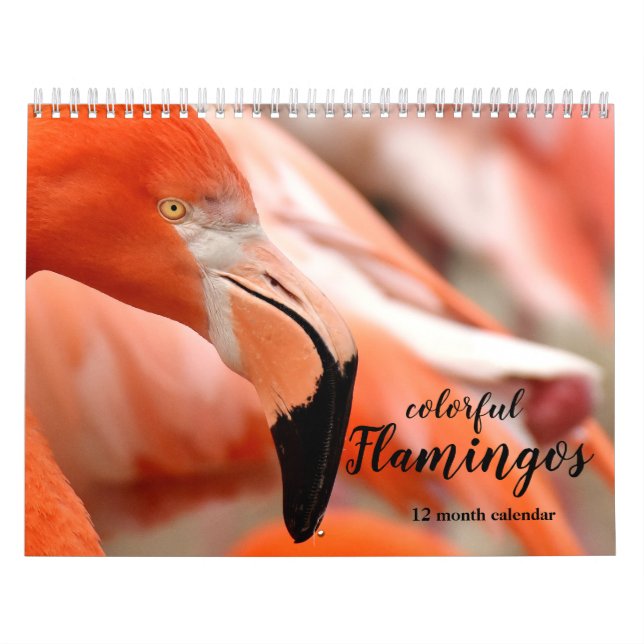 Calendário Coloridos Flamingos 2026 (Capa)