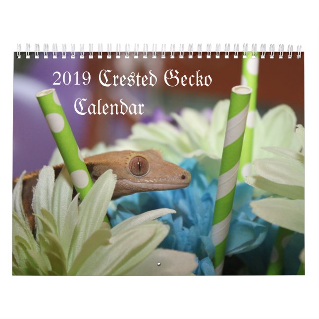 Calendário com crista do geco 2019 (Capa)