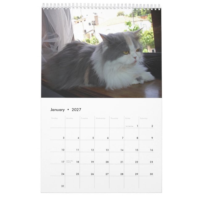 Calendário com os gatos - personalizados (Jan 2027)