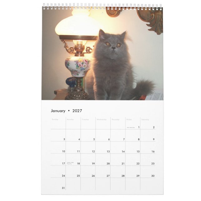 Calendário com os gatos - personalizados (Jan 2027)