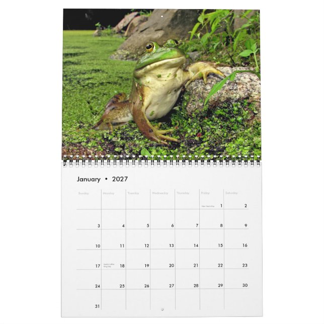 Calendário com sapos da lagoa (Jan 2027)