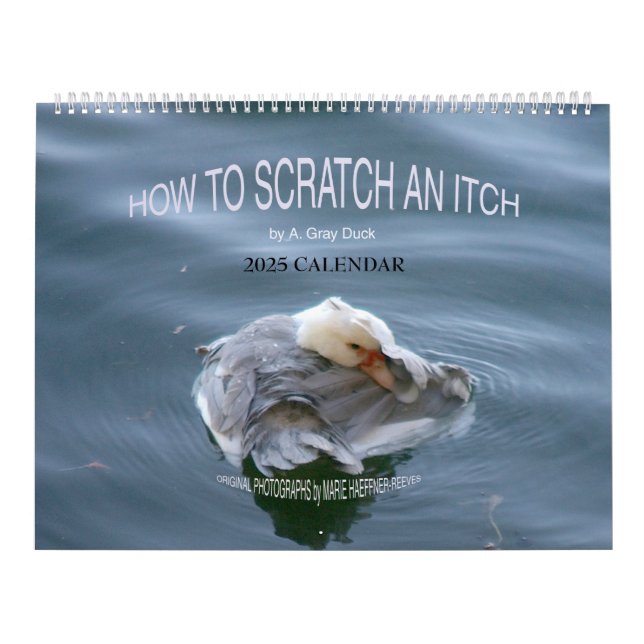 Calendário COMO ESCALAR UM ITCH DE A. Cinza Duck 2025 (Capa)