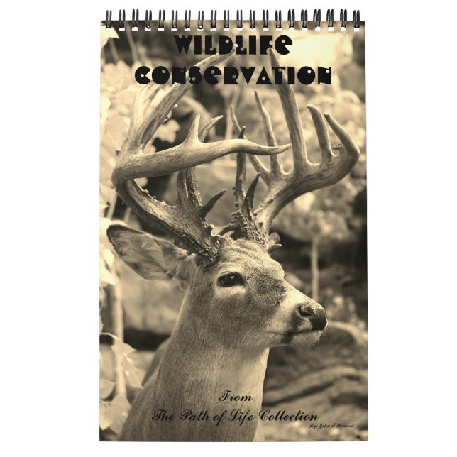 Calendário Conservação dos animais selvagens (Capa)