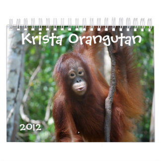 Calendário Conservação dos animais selvagens do orangotango