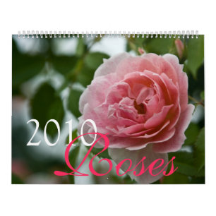 Calendário cor-de-rosa dos rosas 2010