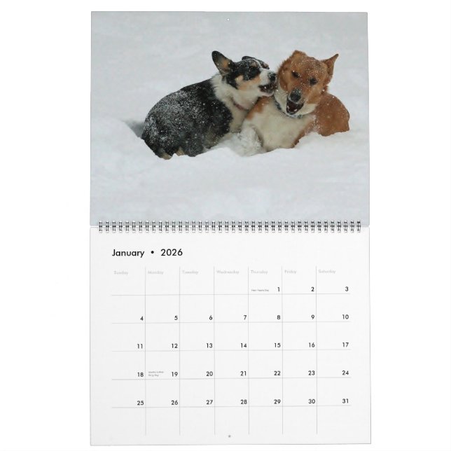 Calendário Corgis ir 2014 (Jan 2026)