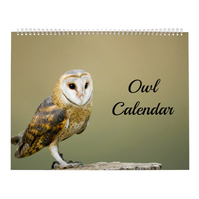 Calendário Coruja (Capa)
