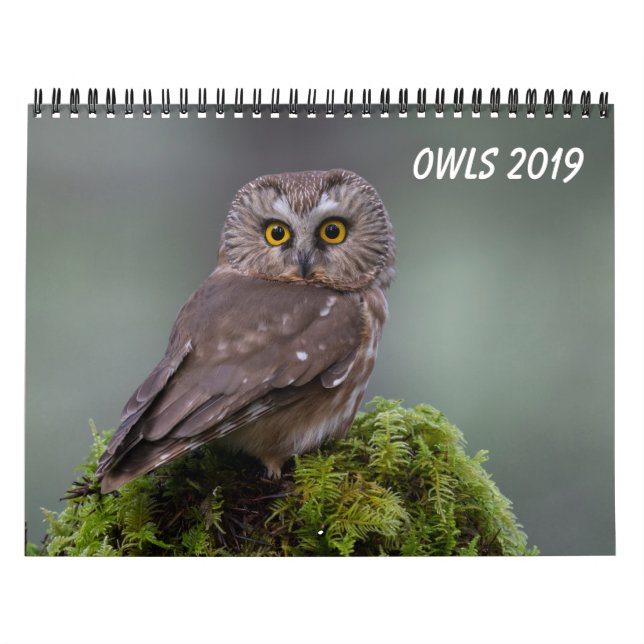 Calendário Corujas 2019 (Capa)