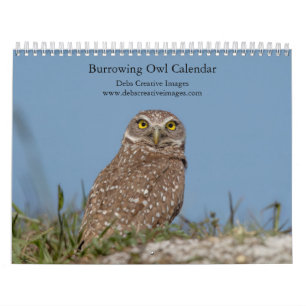 Calendário Corujas-buraqueiras do Sudeste da Flórida Calendár