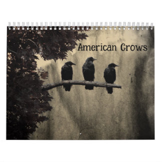 Calendário Corvos Americanos