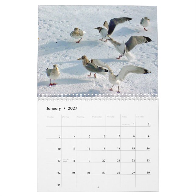 Calendário Costa bonita de Maine (Jan 2027)