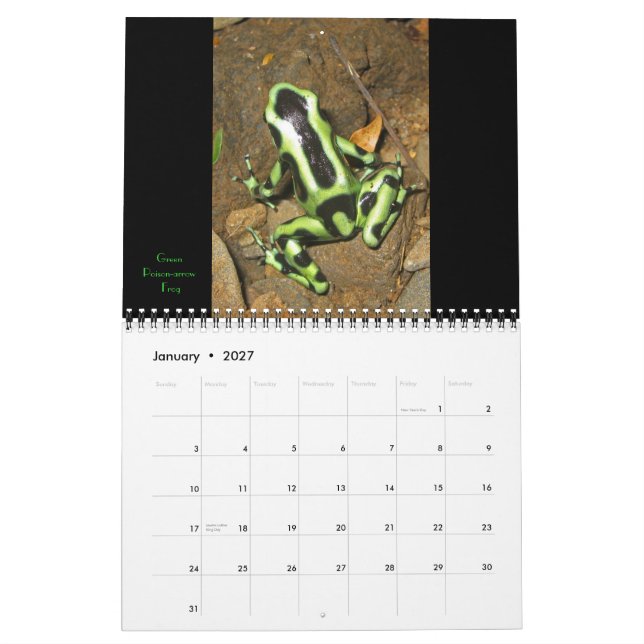 Calendário Costa Rica 2011 (Jan 2027)