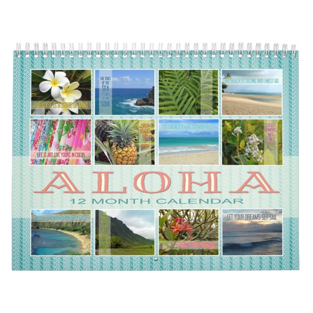 Calendário Cotações/Calendário de Fotografia do Havaí Aloha (Capa)
