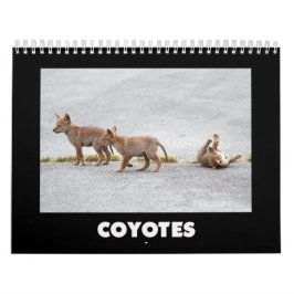 Calendário Coyotes Calendar