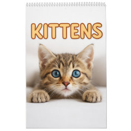 Calendário Cozy Cat Photography | Cute Kitten Cat Wall 