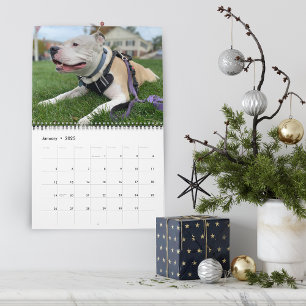 Calendário Criando Memórias de Cachorros Personalizadas