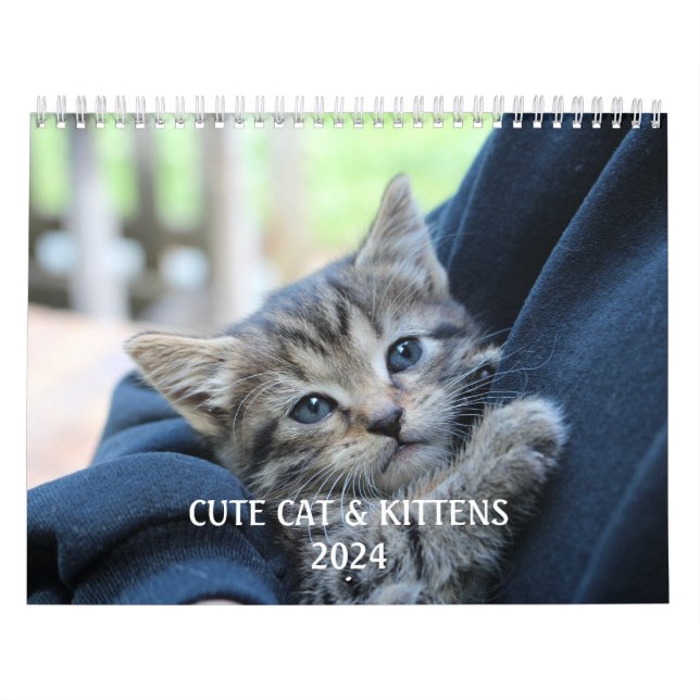 Calendário Crie A Sua Foto De Pet De Gato Engraçado (Capa)