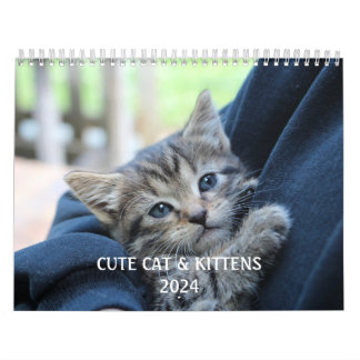 Calendário Crie A Sua Foto De Pet De Gato Engraçado