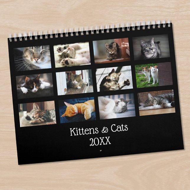 Calendário Crie Sua Própria Foto de Pet com Capa Preta Fofa (Create Your Own Cute Black Cover Pet Photo Calendar in situ)