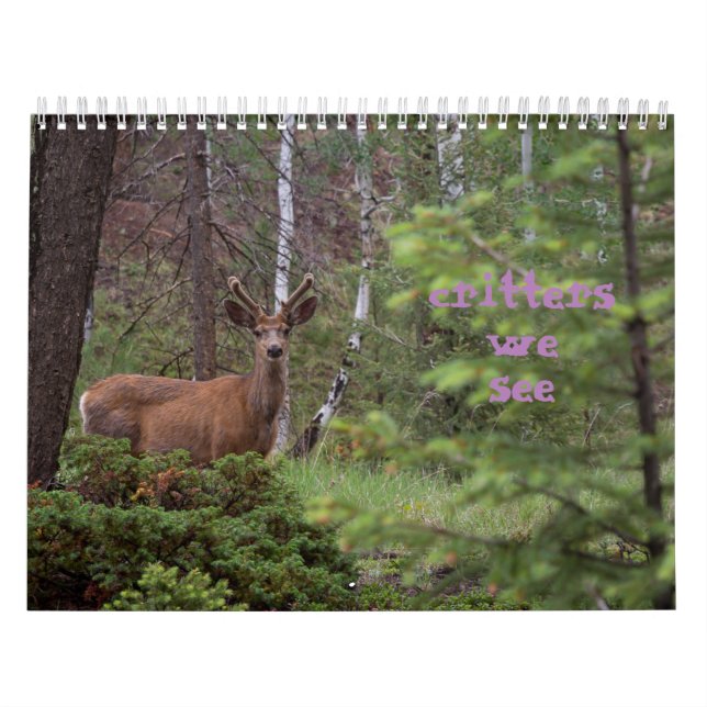 Calendário Critérios que Vemos  (Capa)