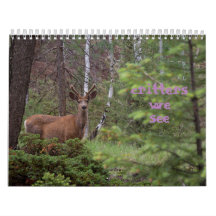 Critérios que Vemos