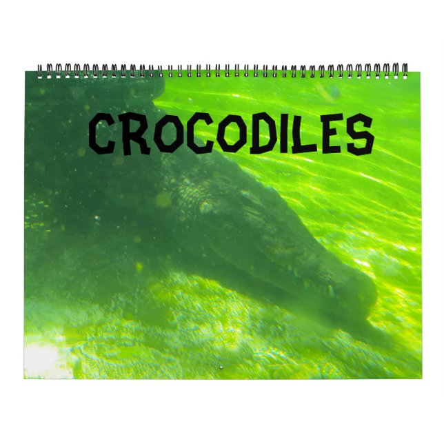 Calendário Crocodilo  (Capa)