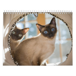 Calendário Curiosidade