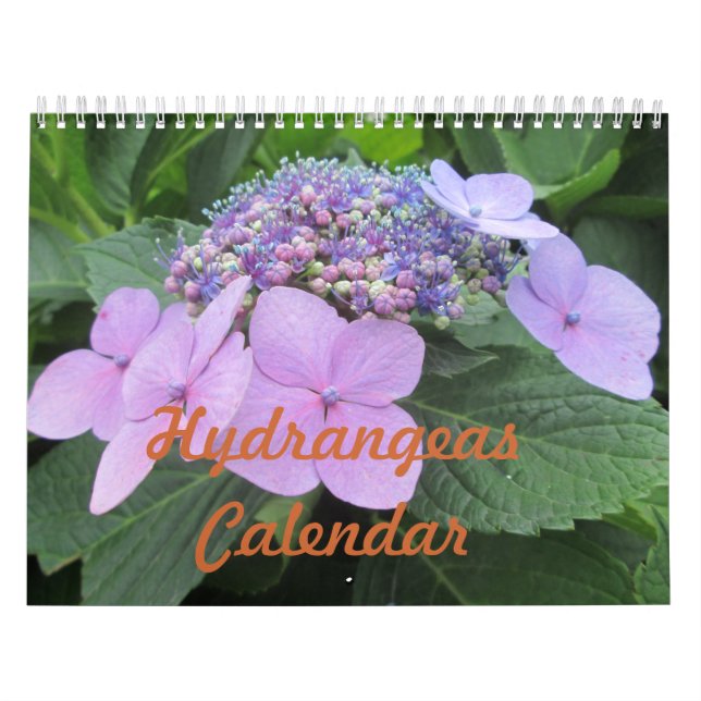 Calendário customizável da flor dos Hydrangeas (Capa)