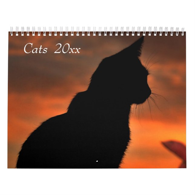 Calendário customizável dos gatos (Capa)