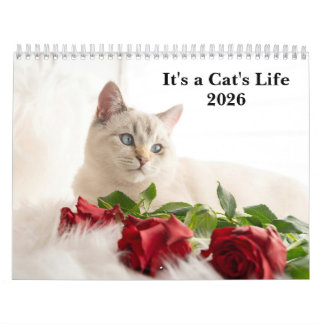 Calendário Cute Cat Photo It’s A Cat’s Life 2026
