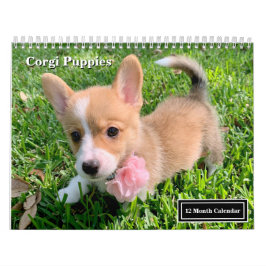 Calendário Cute Corgi Puppies 2026 Puppy Wall