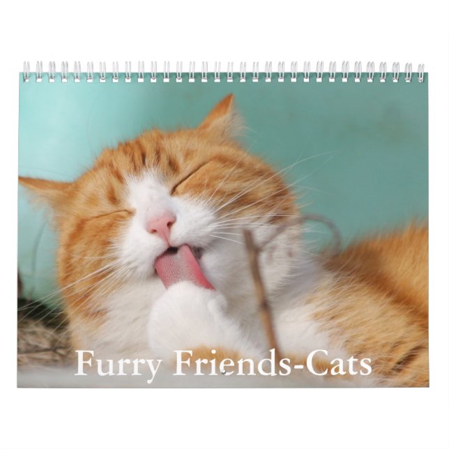 Calendário Cute Furry Friends Cat Calendar (Capa)