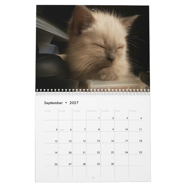 Calendário Cute kitten calender for 2026 (Set 2027)