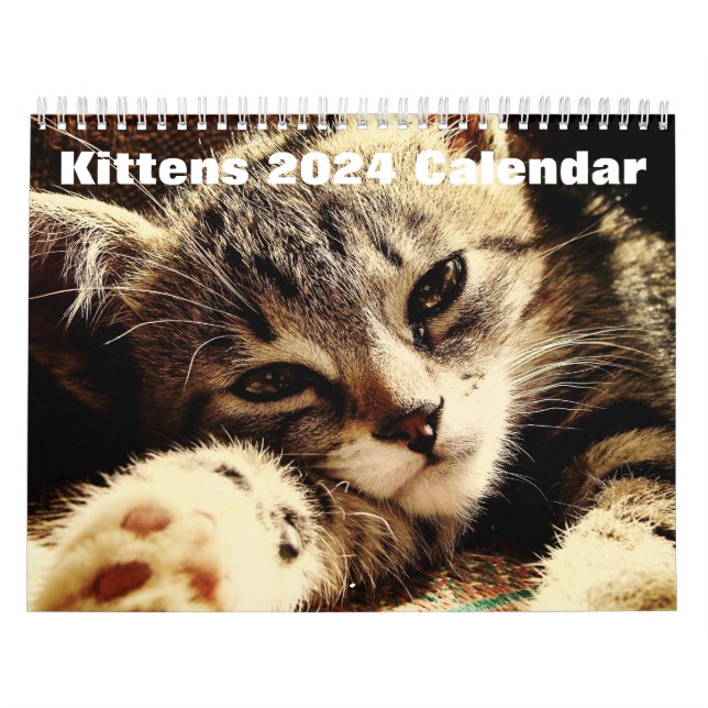 Calendário Cute Kittens 2024 (Capa)