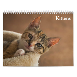 Calendário Cute Kittens 2025