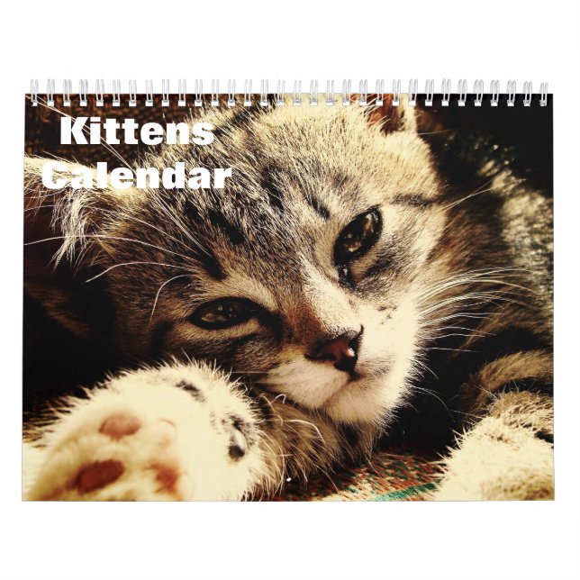 Calendário Cute Kittens 2025 (Capa)