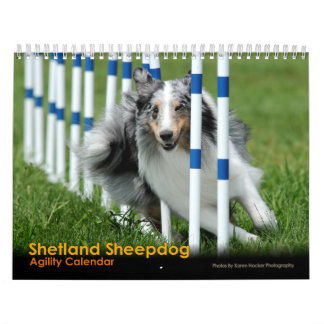 Calendário da agilidade do Sheepdog de Shetland