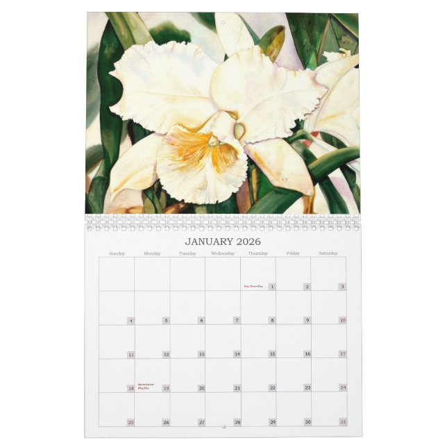 Calendário da aguarela por Sandra Shelton Campbell (Jan 2026)