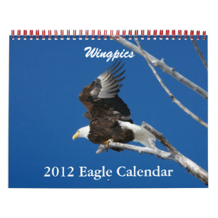 Calendário da Águia Wingpics 2012