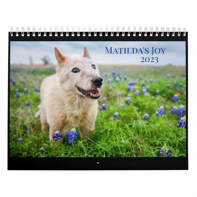 Calendário da Alegria de Matilda 2023 (Capa)
