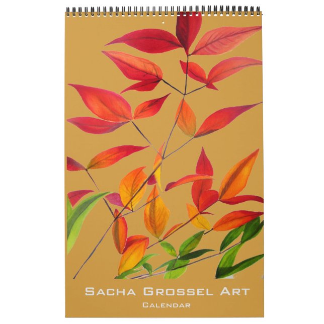 Calendário da arte moderna da aguarela por Sacha (Capa)