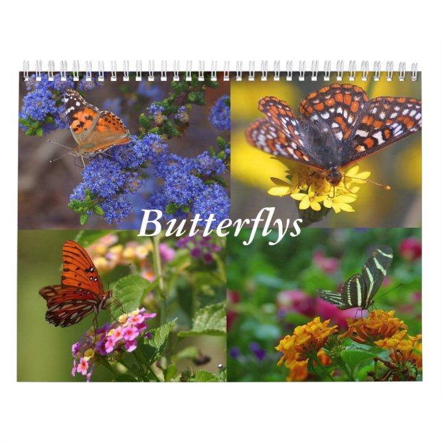 Calendário da Borboleta (Capa)