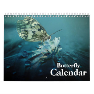 Calendário da borboleta 2022